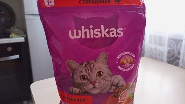 What to feed cats Убрать снег, как растопить печь Чем кормить кошек, смотреть онлайн