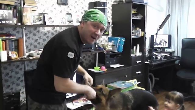 команда сидеть лежать стоять команды с раздражителями ч2 смотреть онлайн