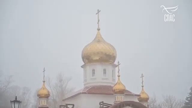 «Глобус Православия с Марией Бутиной». Беларусь 🇧🇾