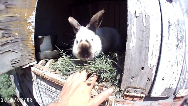 SQ12 Обзор мини камеры смотреть онлайн