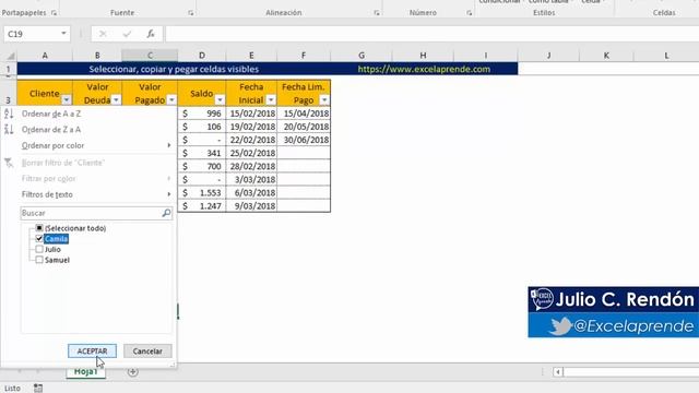 Seleccionar, copiar y pegar celdas visibles | Excel Aprende смотреть онлайн
