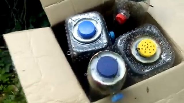 Транспортировка нуклеусов Джинн. смотреть онлайн