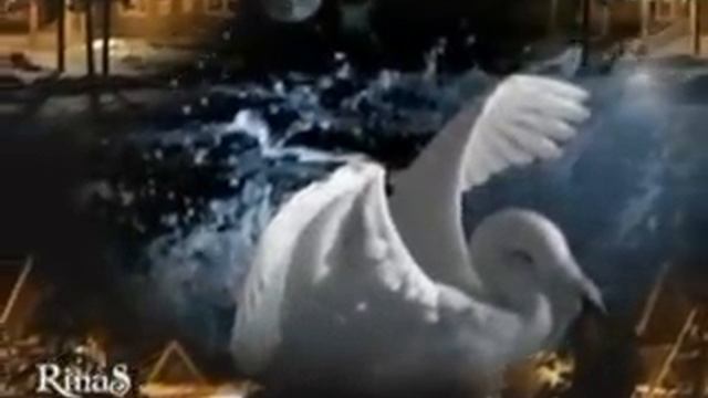 Давайте поговорим молча.... смотреть онлайн