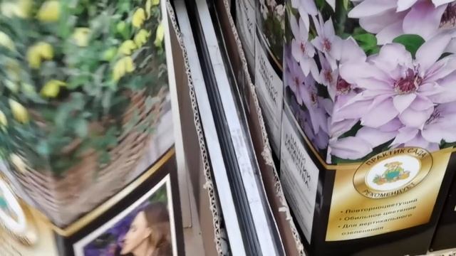 В ОБИ за новыми растениями. Товары для сада- огорода смотреть онлайн