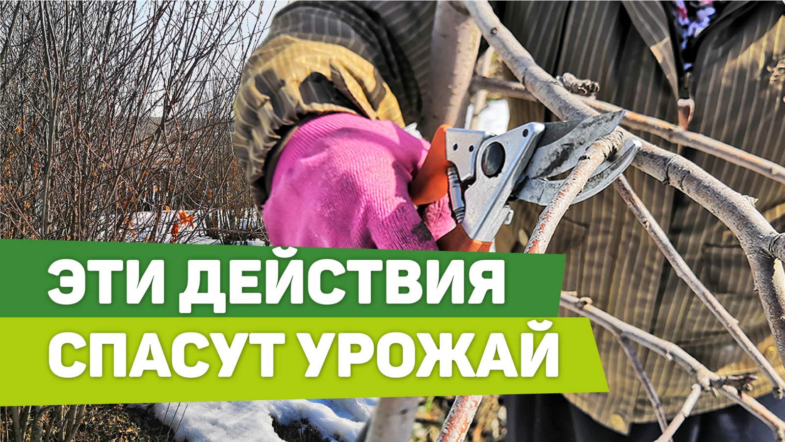 ВАЖНЫЕ РАБОТЫ В САДУ В МАРТЕ. Помогите своим растениям смотреть онлайн