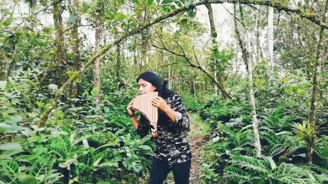 🐦Kukushka - The Cat's Flute con Raimy Salazar (Кукушка от Виктора Цоя - Cuckoo from Victor Tsoi) смотреть онлайн