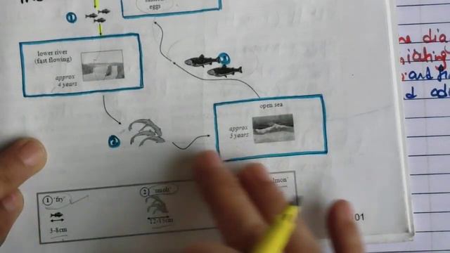 Academic Writing task1 Process Diagram writing | tips for 8+ #ieltswriting task1 Cambridge 10 test4 смотреть онлайн