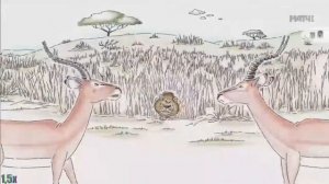 Red Bull — «Лев» в 8х быстрее | PRO Рекламу