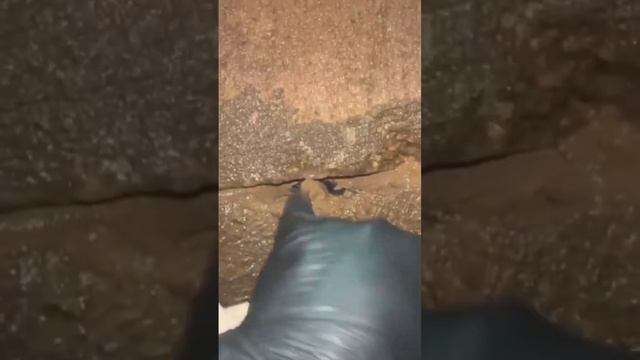 Как правильно обслуживать колодец