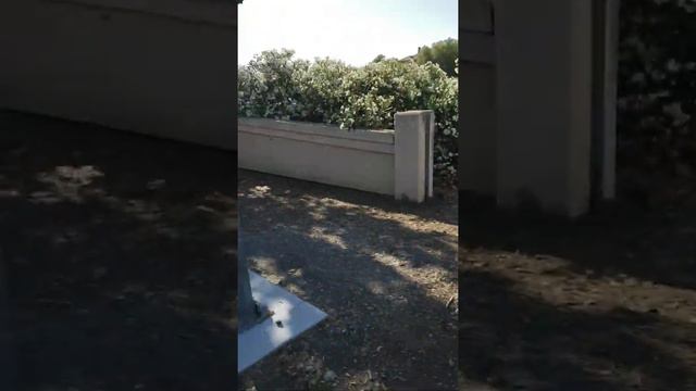 ON THE ROAD REVIEW: Bang Lemon Drop Energy Drink & Yerba Buena Road смотреть онлайн