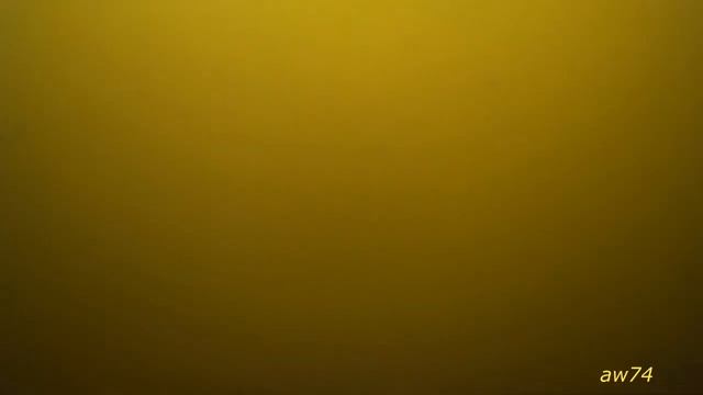 Клев карася зимой подо льдом (подводная съемка). смотреть онлайн