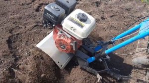 Как пашут мои самодельные гусиные лапы на переделанном мотоблоке КРОТ-2 М.