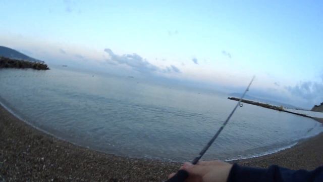 Поклевка и вываживание морского карася или дорадо на силикон Marukyu Power Isome Рокфишинг 2019