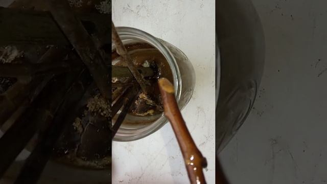 Яблоня укоренение черенков Штрифеля.Яблоня укоренение черенков.Укоренение черенков смотреть онлайн