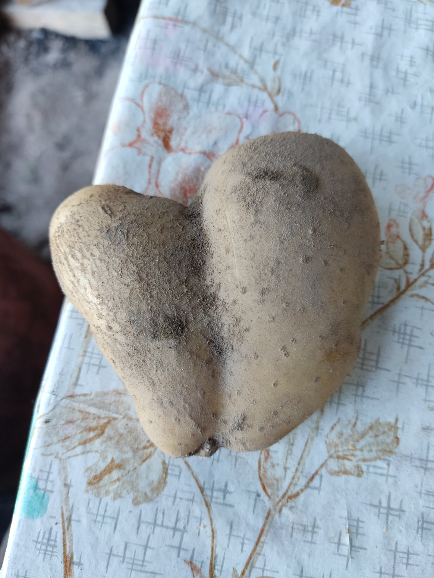 Картофельная арифметика. Отличный урожай! Живая изгородь из топинамбура. 01092023.