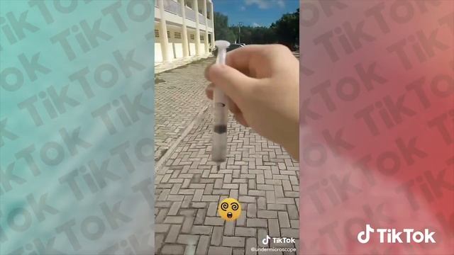 Os DESTAQUES DA SEMANA estão incríveis! | TikTok Brasil смотреть онлайн