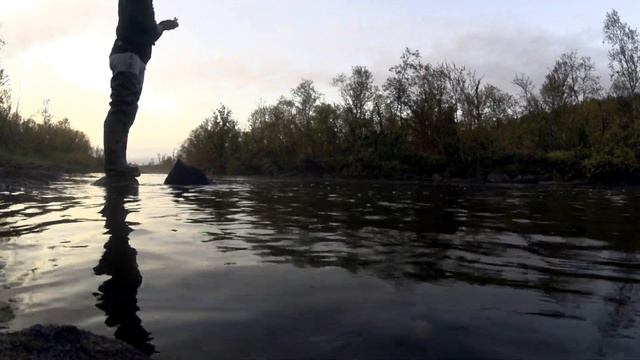 случай на рыбалке. Остался без снастей смотреть онлайн