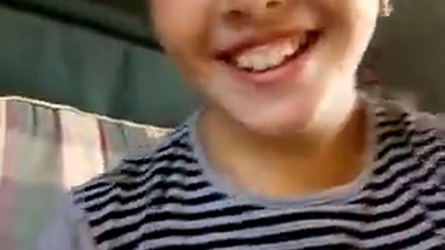 Какие няшки животные смотреть онлайн