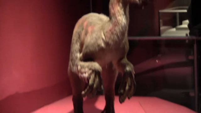 Динозавры в Гонконге 04 смотреть онлайн