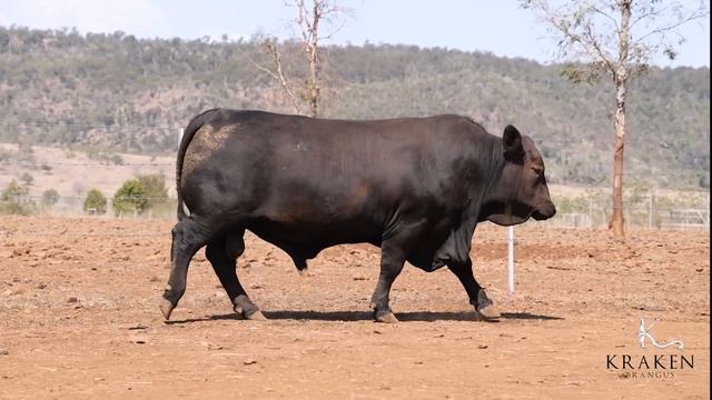 LOT 219 Kraken Cut the Sass 327S P смотреть онлайн