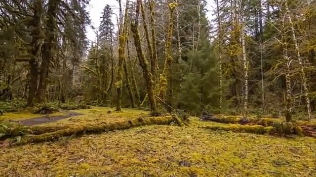 Коран для Успокоения Нерв ,Души, Сердца.от Усталости смотреть онлайн