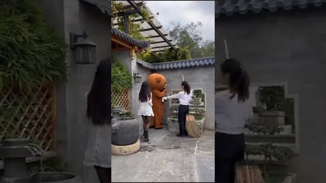 Смешное видео смотреть онлайн