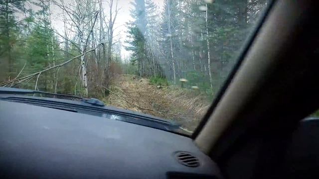 Уаз патриот на охоте на черемшу! смотреть онлайн