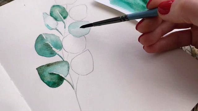Простой скетч пошагово- КРАСИВЫЕ ЗЕЛЕНЫЕ ЛИСТЬЯ. Рисуем ЭВКАЛИПТ акварелью - урок для начинающих. смотреть онлайн