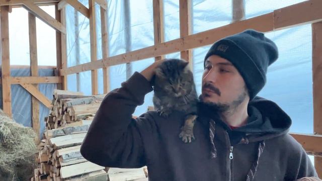 НАКОНЕЦ-ТО ДОСТИГЛИ ЦЕЛИ! ЖИЗНЬ ПРОСТЫХ ЛЮДЕЙ В ДЕРЕВНЕ! НАША ФЕРМА!