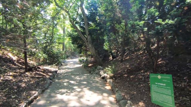 Крым Парк Приключений в Никите был привлекательным, до тех пор, пока там не появились динозавры