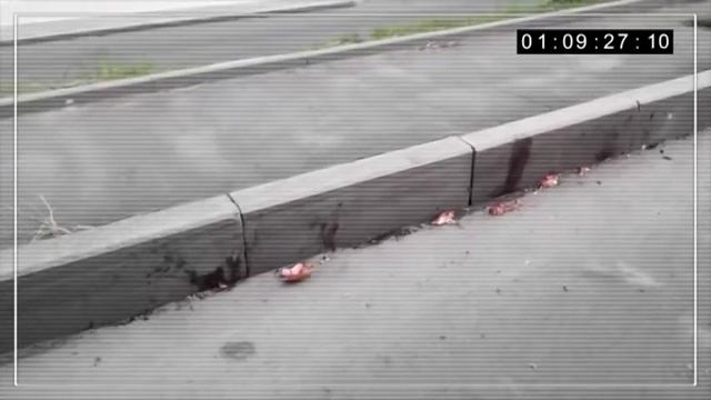 Фильм "Оставаясь в игре..." Про хоккей в Донецке после оккупации смотреть онлайн