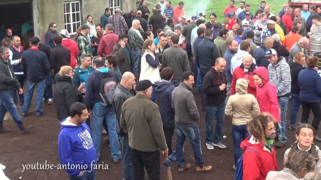 Baile Regional da Ilha São Jorge, Ganadaria Gabriel Azevedo 2017 смотреть онлайн