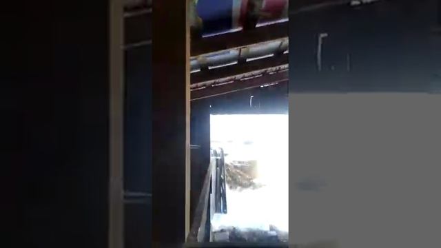 для новорожденных телят. смотреть онлайн