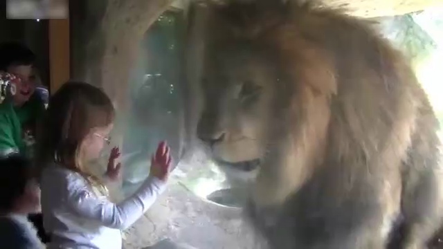 Сожрал бы я тебя на обед, да не получается смотреть онлайн