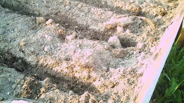 Посадка лука. Основные моменты смотреть онлайн