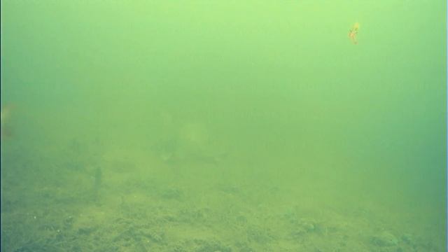 Уже не Первый лед. Новые Жерлицы! По две щуки с лунки. Рыбалка на Ишиме. смотреть онлайн