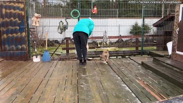 Как ❤️Ума❤️ попала в «Лесную сказку у Синдбада» Видео 22 октября 2023. смотреть онлайн