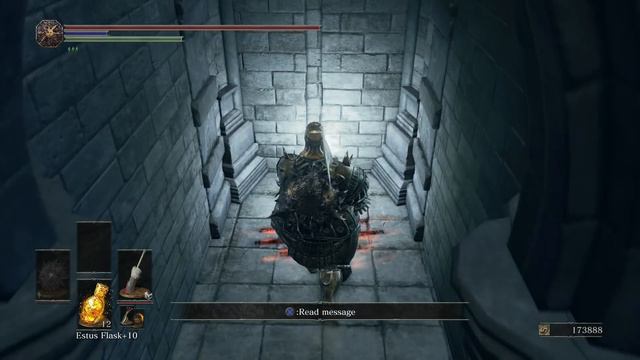 Master of Ring Trophy. Dark Souls 3 Platinum trophy PS4 смотреть онлайн