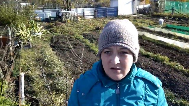 Один огород уже готов к зиме.Можно петь песни. смотреть онлайн