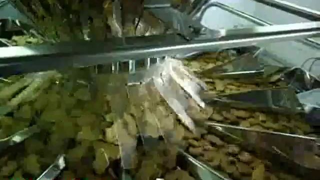 Вертикальная упаковочная машина - вертикалка - упаковка печенья в пакеты из пленки - SAM-0658 смотреть онлайн