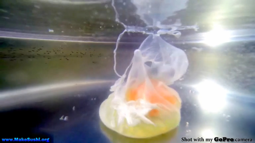 Варка яйца в реальном времени смотреть онлайн