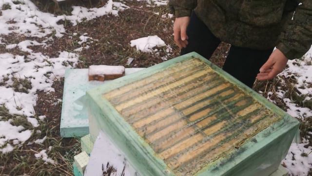 Осмотр пчёл в январе. смотреть онлайн