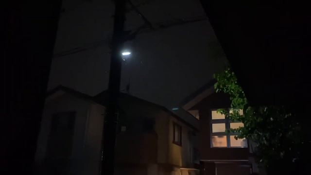 Мы и тайфун Хагибис смотреть онлайн