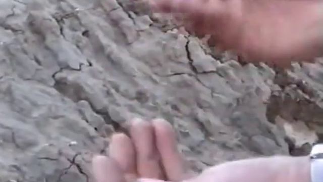 Экспедиция на соленое озеро Эльтон (1 часть) смотреть онлайн