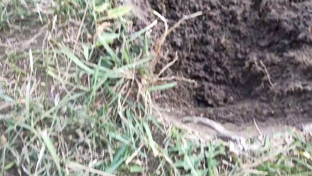 Коп 2021. ЛУЧШИЙ КОП ГОДА! Как другие прошли мимо?! Женский поиск монет с Металлоискателем  XP orx.