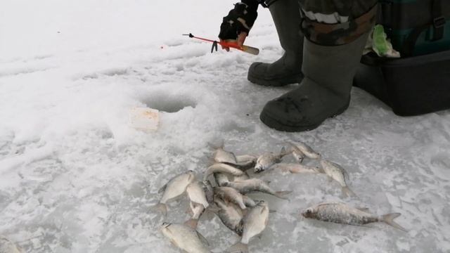 РЫБАЛКА В ГЛУХОЗИМЬЕ. Второй день рыбалки. Карадули. смотреть онлайн