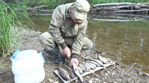 В МАЛЕНЬКОЙ РЕЧКЕ, НАЛОВИЛИ МНОГО ХАРИУСА. ЧИСТКА, ЗАСОЛКА РЫБЫ НА ХРАНЕНИЕ В ЖАРУ. ГОТОВИМ РЫБУ.