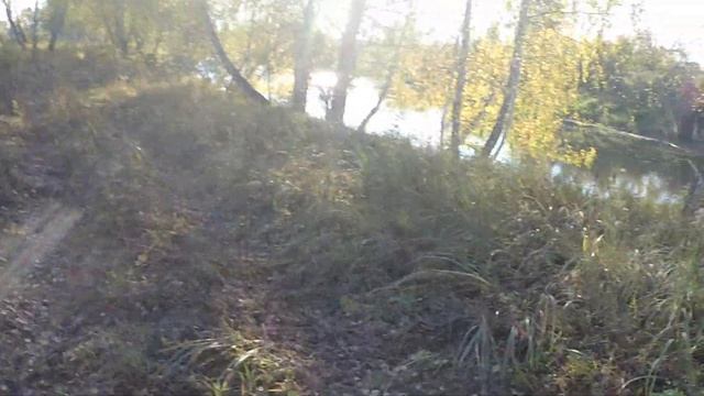 Охота на реке. Ягда спасает уток. Возможно ли научить старую собаку охотиться по-новому. смотреть онлайн