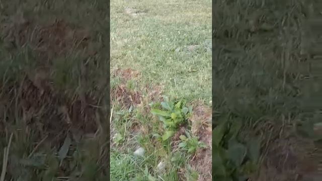 Вуокса река.и отдых с рыбалкой. смотреть онлайн