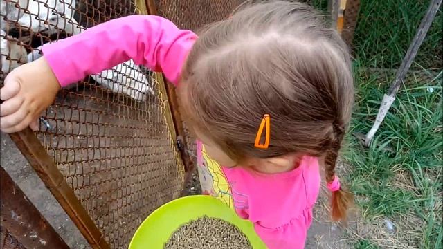 Как Есения кормит уток. Влог. Детям о животных. Домашние животные смотреть онлайн